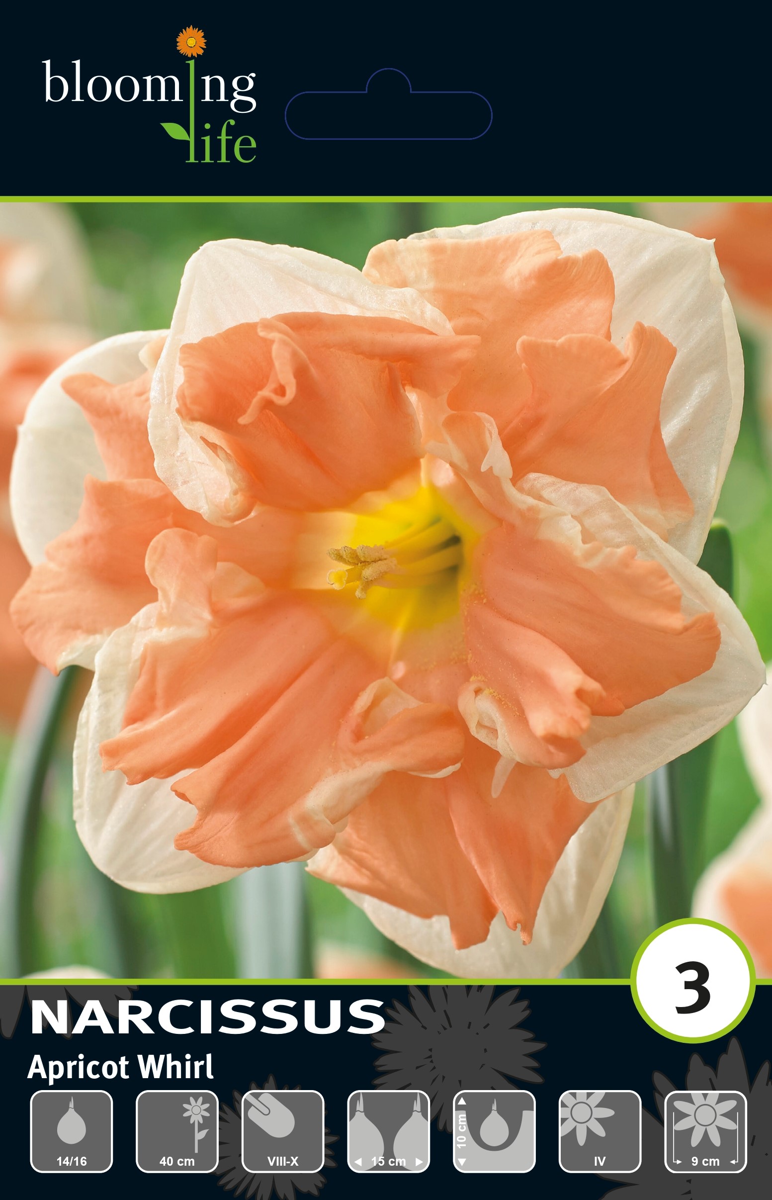 Нарцисс орхидный Эприкот Вирл